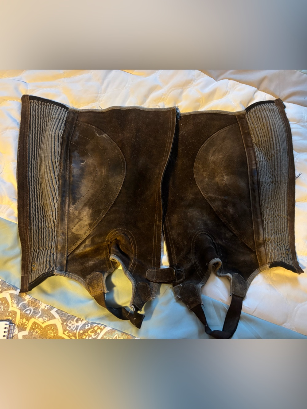 English half chaps